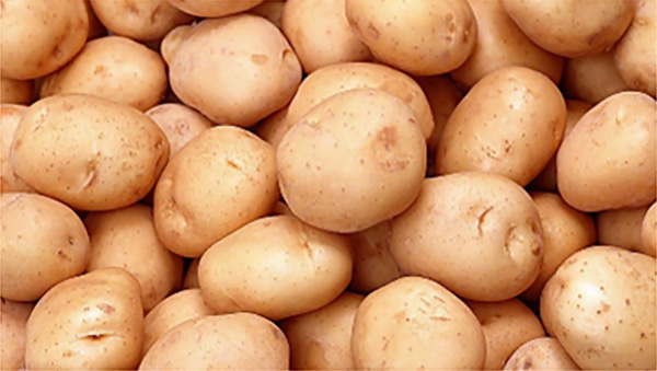 Starch And Gluten