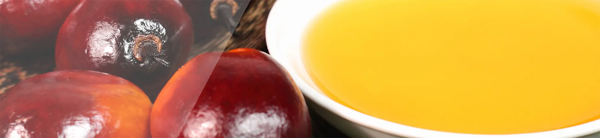 Palm oil process